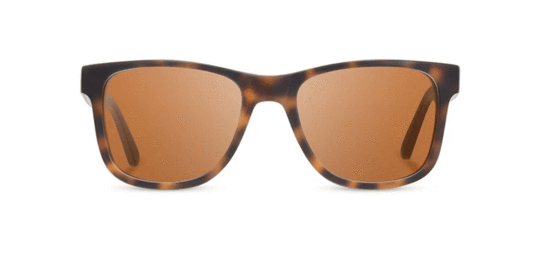 Trail Matte Tortoise