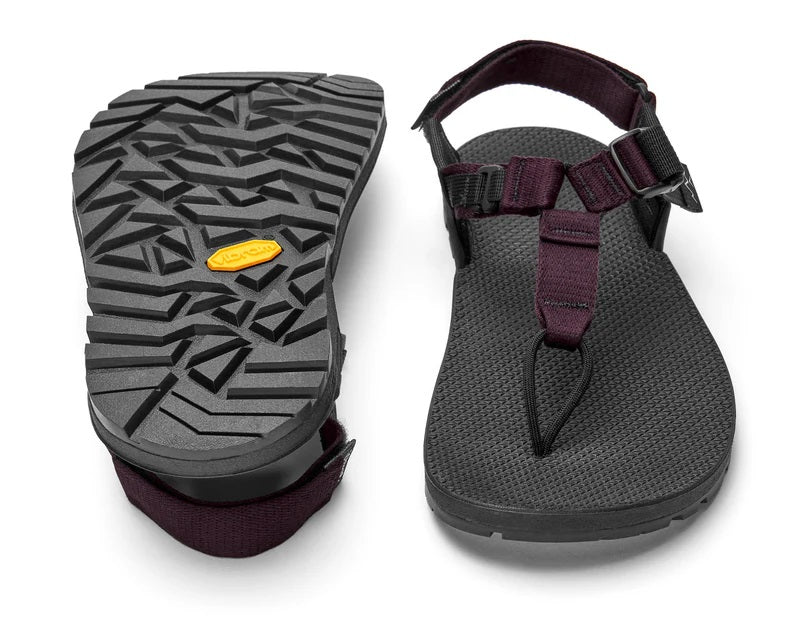 Cairn Evo [Burgundy]