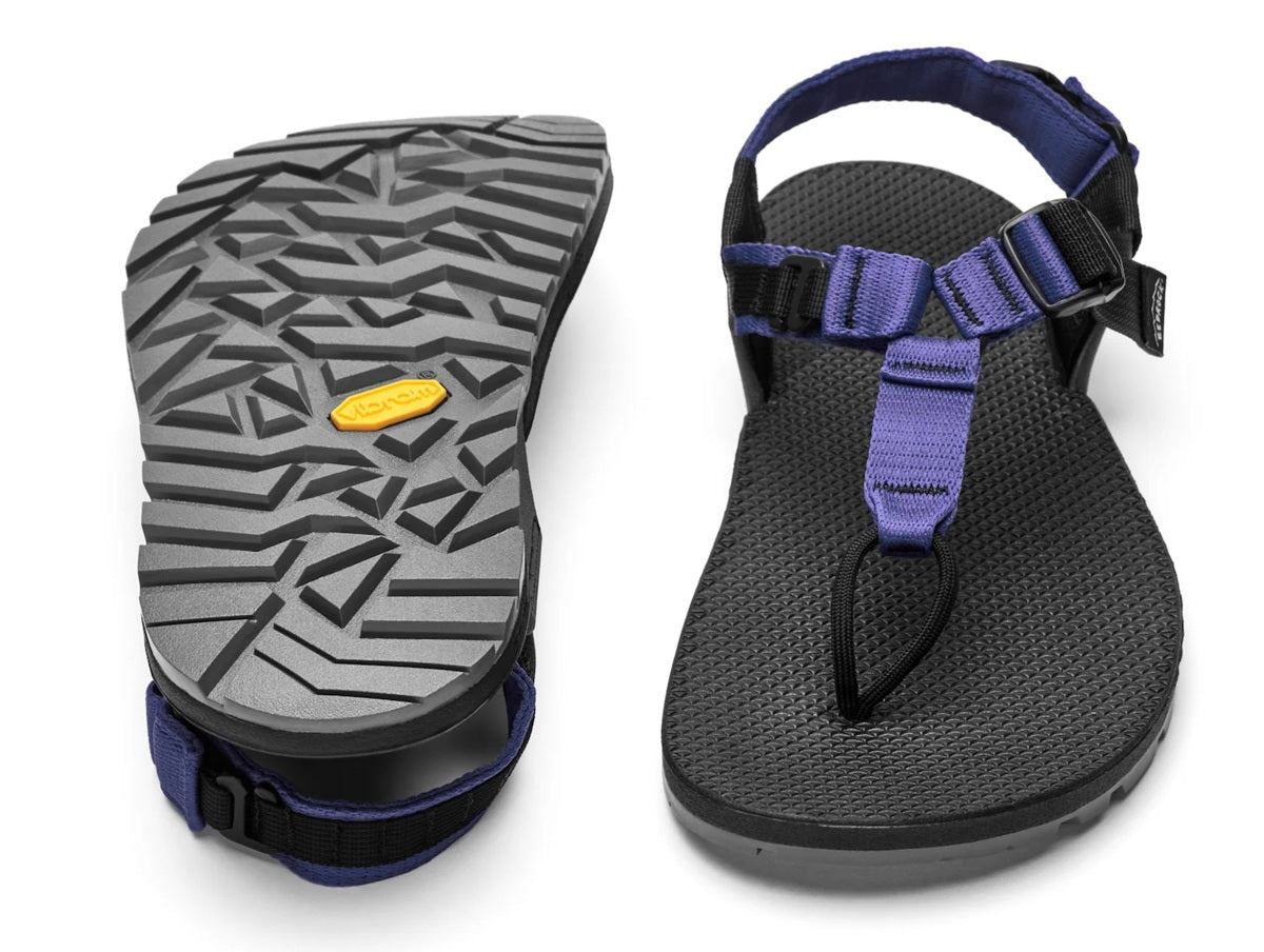 Cairn Evo PRO [Lupine Purple]