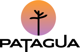 Patagua