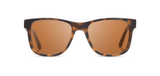 Trail Matte Tortoise