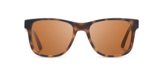 Trail Matte Tortoise