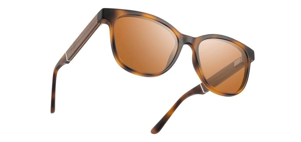 Cove Matte Tortoise