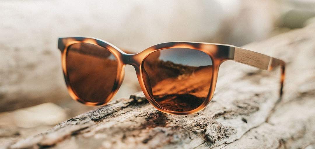 Cove Matte Tortoise
